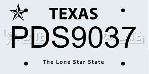 PDS9037 Texas License Plate