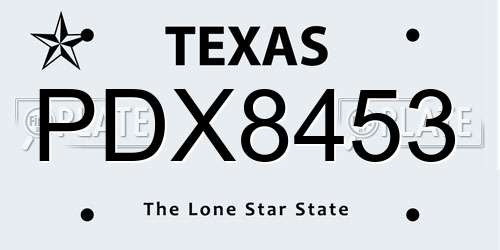 PDX8453 Texas License Plate