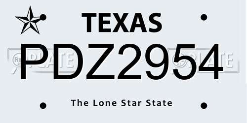 PDZ2954 Texas License Plate