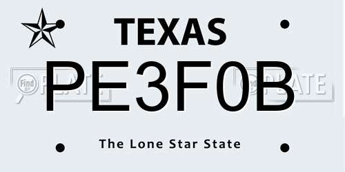 PE3F0B Texas License Plate