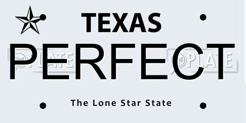 PERFECT Texas License Plate