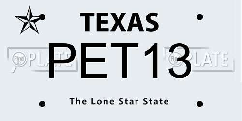 PET13 Texas License Plate