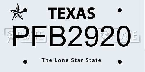 PFB2920 Texas License Plate