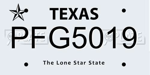 PFG5019 Texas License Plate