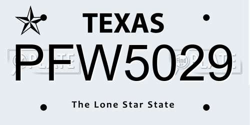 PFW5029 Texas License Plate