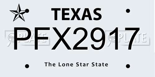 PFX2917 Texas License Plate