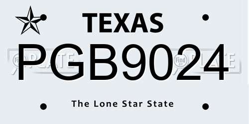 PGB9024 Texas License Plate