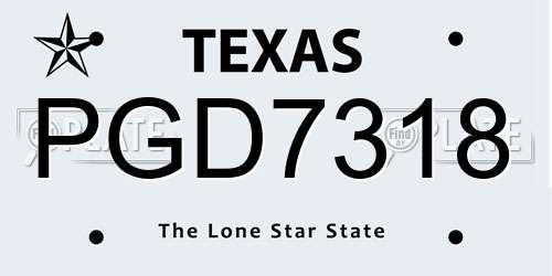 PGD7318 Texas License Plate