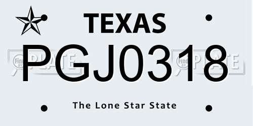 PGJ0318 Texas License Plate