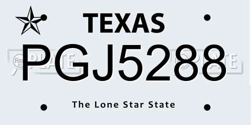 PGJ5288 Texas License Plate