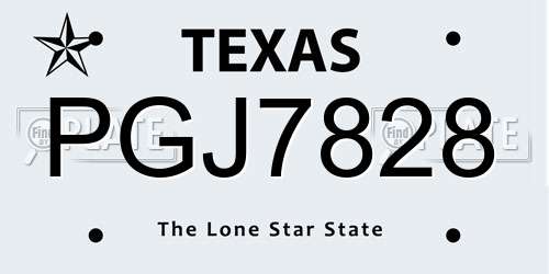 PGJ7828 Texas License Plate