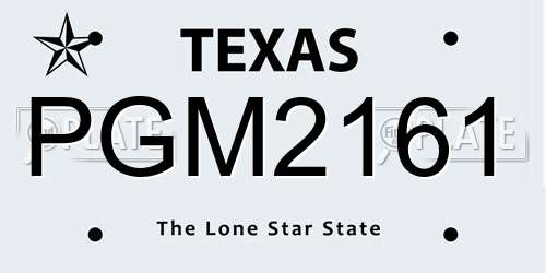 PGM2161 Texas License Plate
