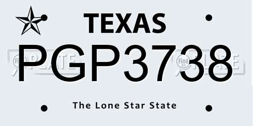 PGP3738 Texas License Plate