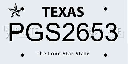 PGS2653 Texas License Plate