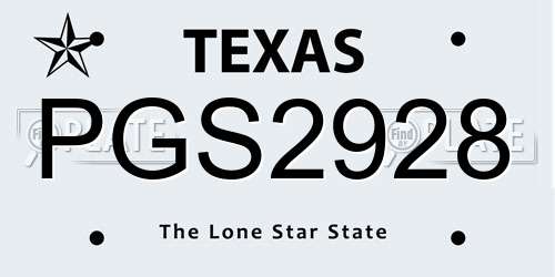 PGS2928 Texas License Plate