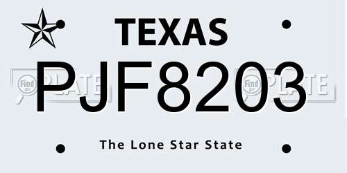 PJF8203 Texas License Plate