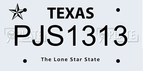 PJS1313 Texas License Plate