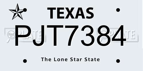 PJT7384 Texas License Plate