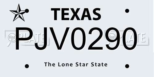 PJV0290 Texas License Plate