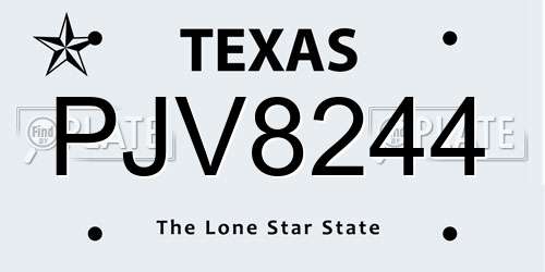 PJV8244 Texas License Plate