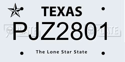 PJZ2801 Texas License Plate