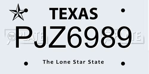 PJZ6989 Texas License Plate
