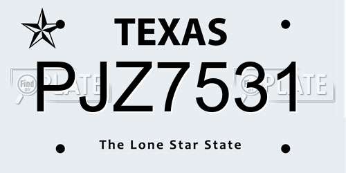 PJZ7531 Texas License Plate