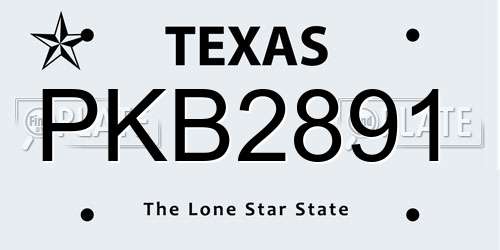 PKB2891 Texas License Plate