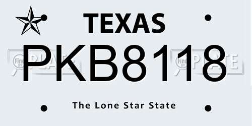 PKB8118 Texas License Plate