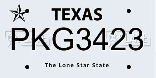 PKG3423 Texas License Plate