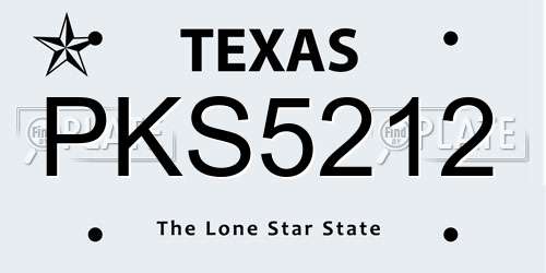 PKS5212 Texas License Plate
