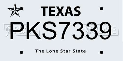 PKS7339 Texas License Plate