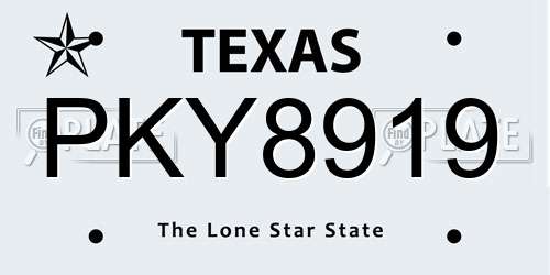 PKY8919 Texas License Plate