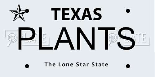 PLANTS Texas License Plate