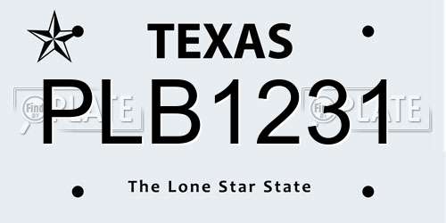 PLB1231 Texas License Plate