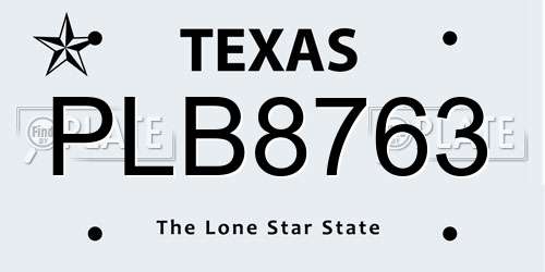 PLB8763 Texas License Plate