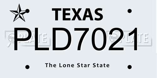 PLD7021 Texas License Plate