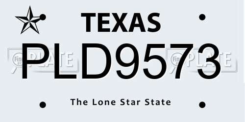 PLD9573 Texas License Plate