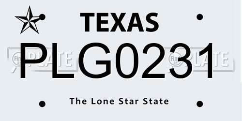 PLG0231 Texas License Plate