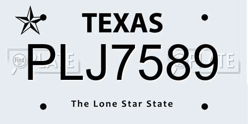 PLJ7589 Texas License Plate