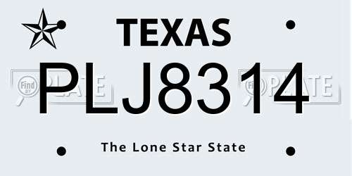 PLJ8314 Texas License Plate