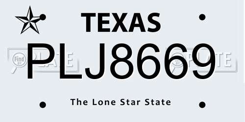 PLJ8669 Texas License Plate