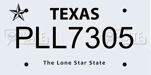 PLL7305 Texas License Plate