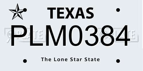 PLM0384 Texas License Plate