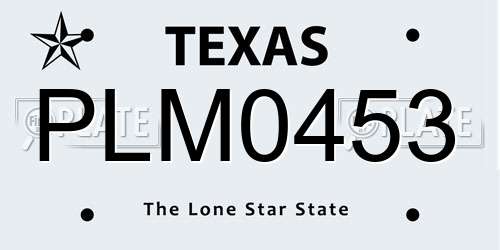 PLM0453 Texas License Plate