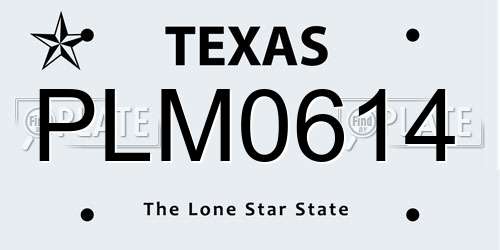 PLM0614 Texas License Plate