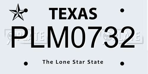 PLM0732 Texas License Plate