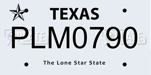 PLM0790 Texas License Plate