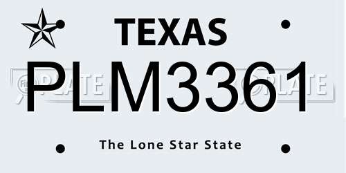 PLM3361 Texas License Plate
