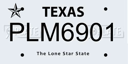 PLM6901 Texas License Plate